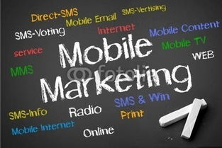 移動(dòng)營(yíng)銷 撬動(dòng)互聯(lián)網(wǎng)金融獲客藍(lán)海的新杠桿